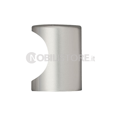 Pomolo AI0153