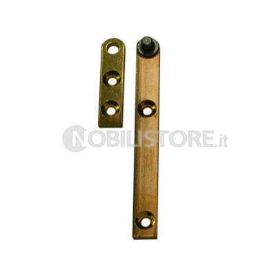 Perni in ottone diritto con piastrina