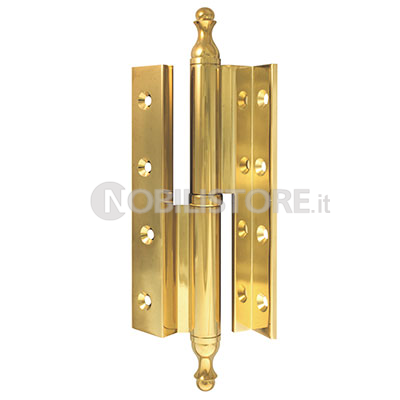 Cerniera porta FS con collo, 120 mm, finale ZK19