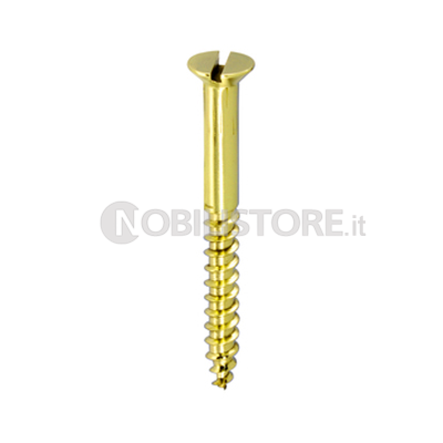 Vite per legno TSP con intaglio ottone