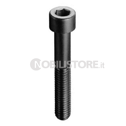 Vite TCE 8.8 UNI 5931 brunita