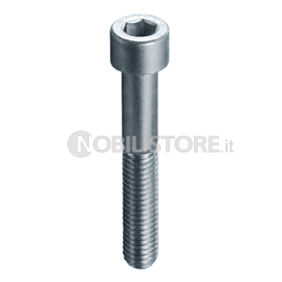 Vite TCE 8.8 UNI 5931 zincata
