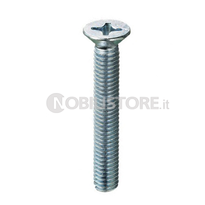 Vite TSP 4.8 PH UNI 7688 zincata