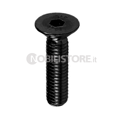 Vite TSPCE 10.9 UNI 5933 brunita