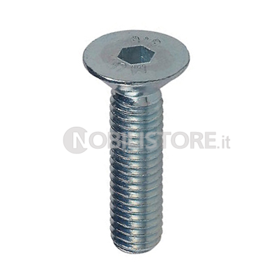 Vite TSPCE 10.9 UNI 5933 zincata